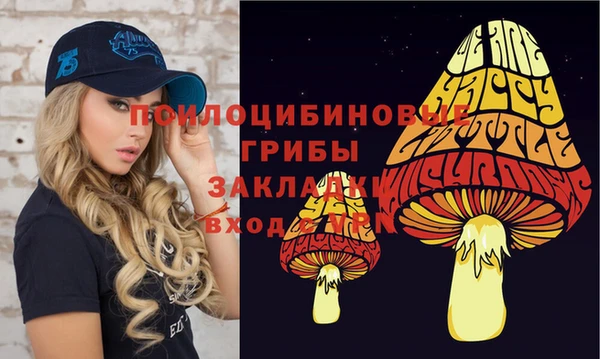 хмурый Липки
