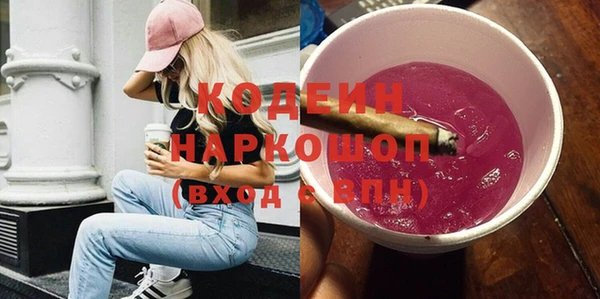 хмурый Липки