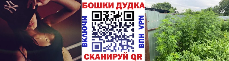 Канабис Amnesia  Чердынь 